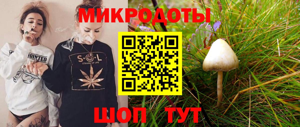 Псилоцибиновые грибы Psilocybine cubensis Лесозаводск