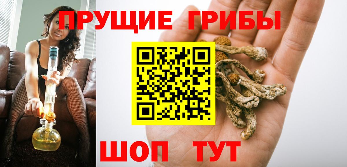 Псилоцибиновые грибы Psilocybe  купить наркотик  Лесозаводск  Вход с VPN 